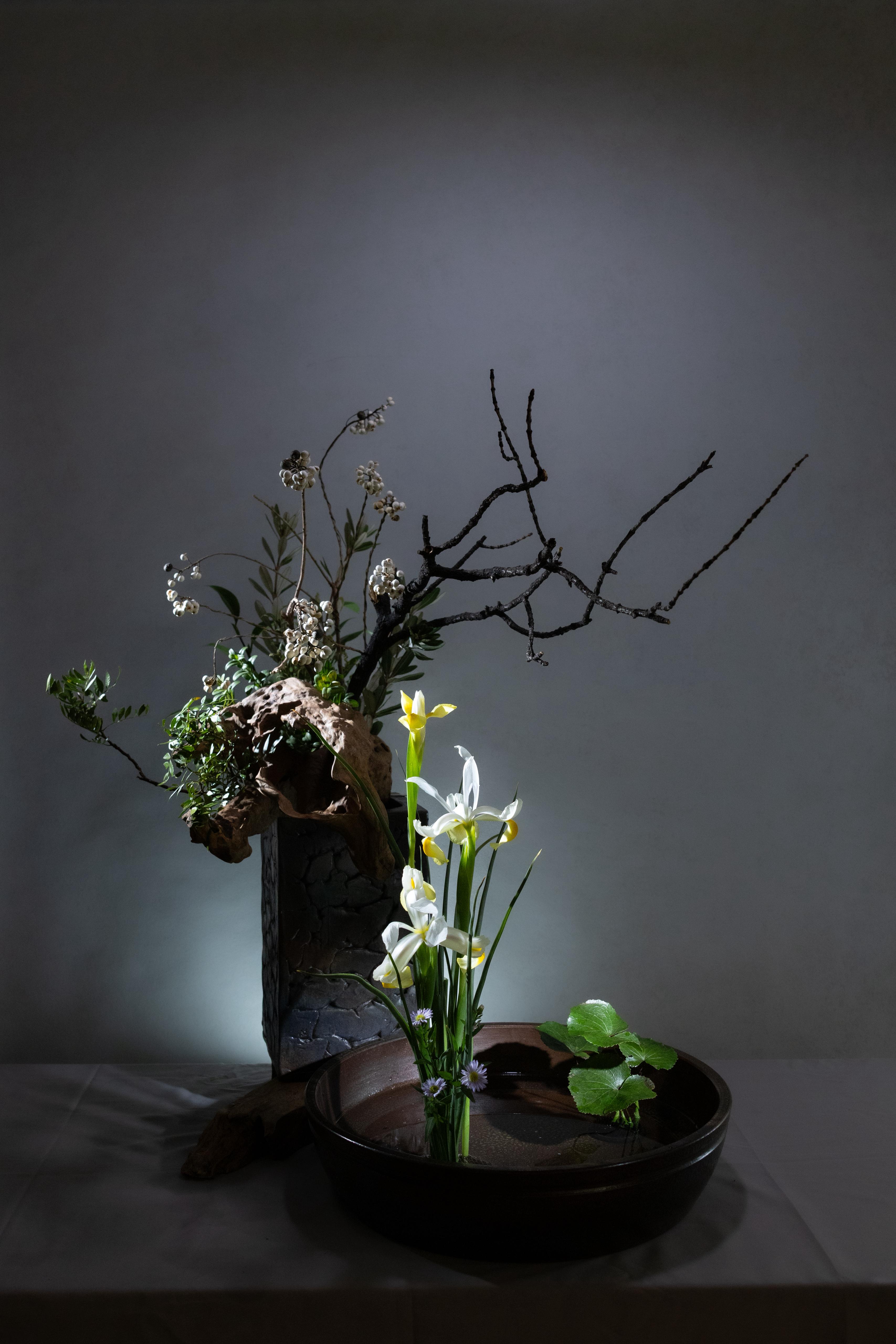 Gallery Image 22