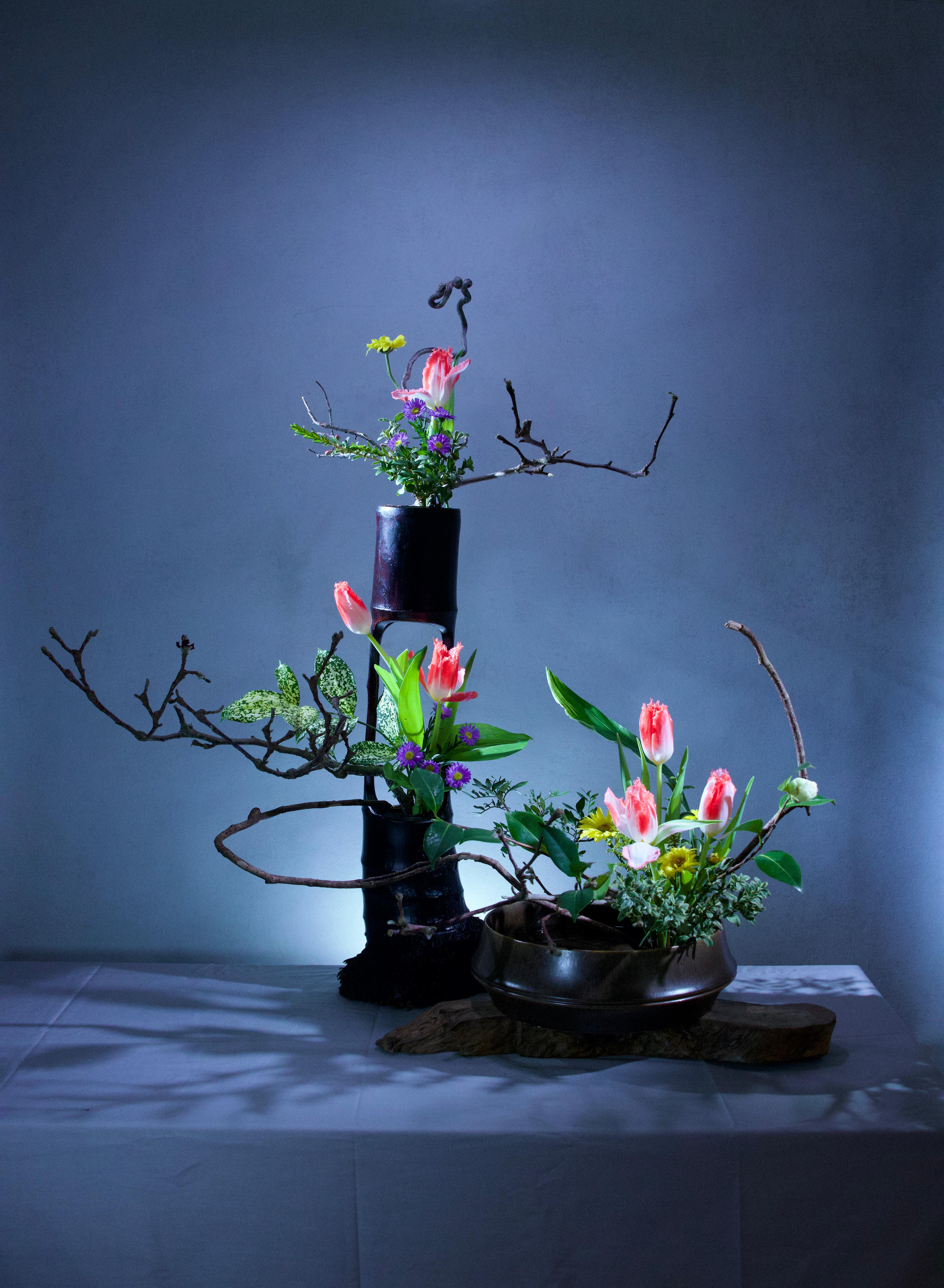 Gallery Image 29