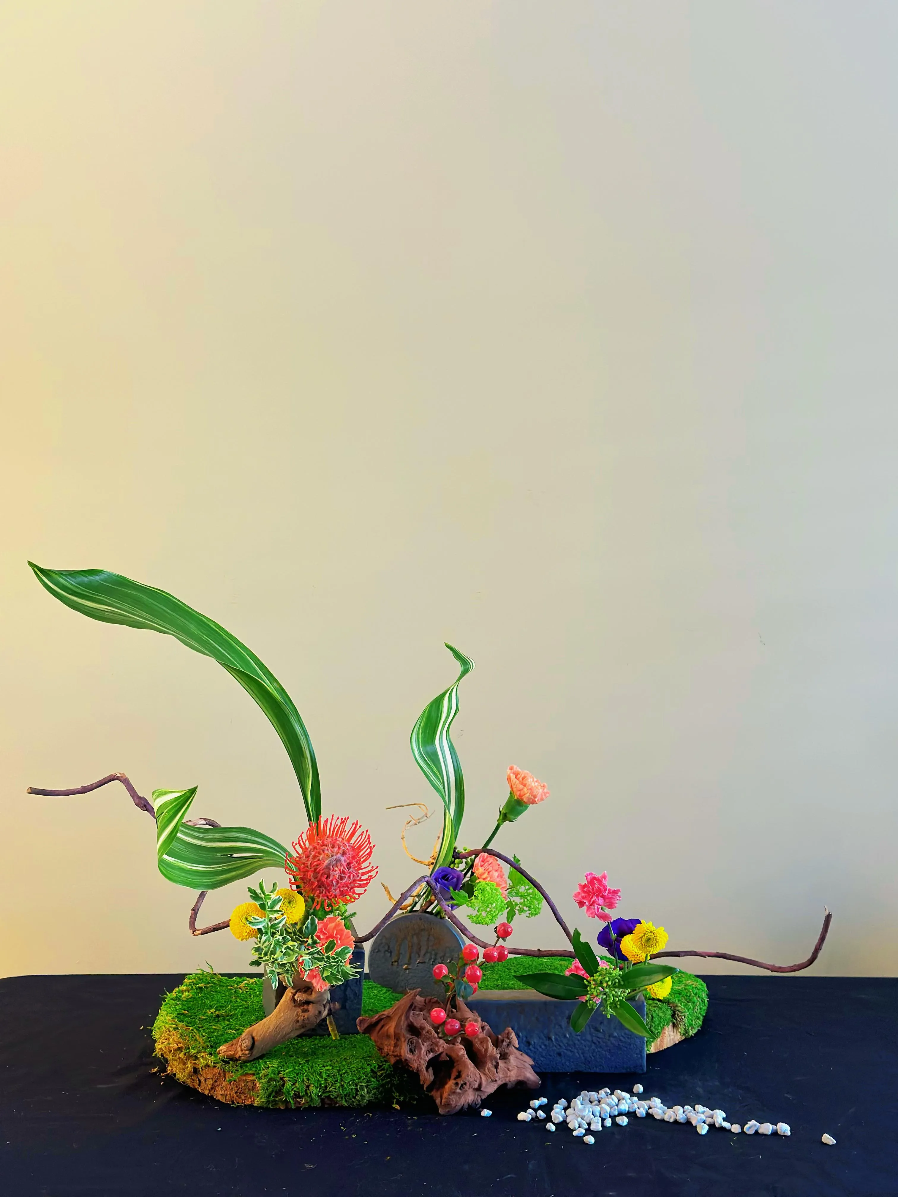 Gallery Image 47